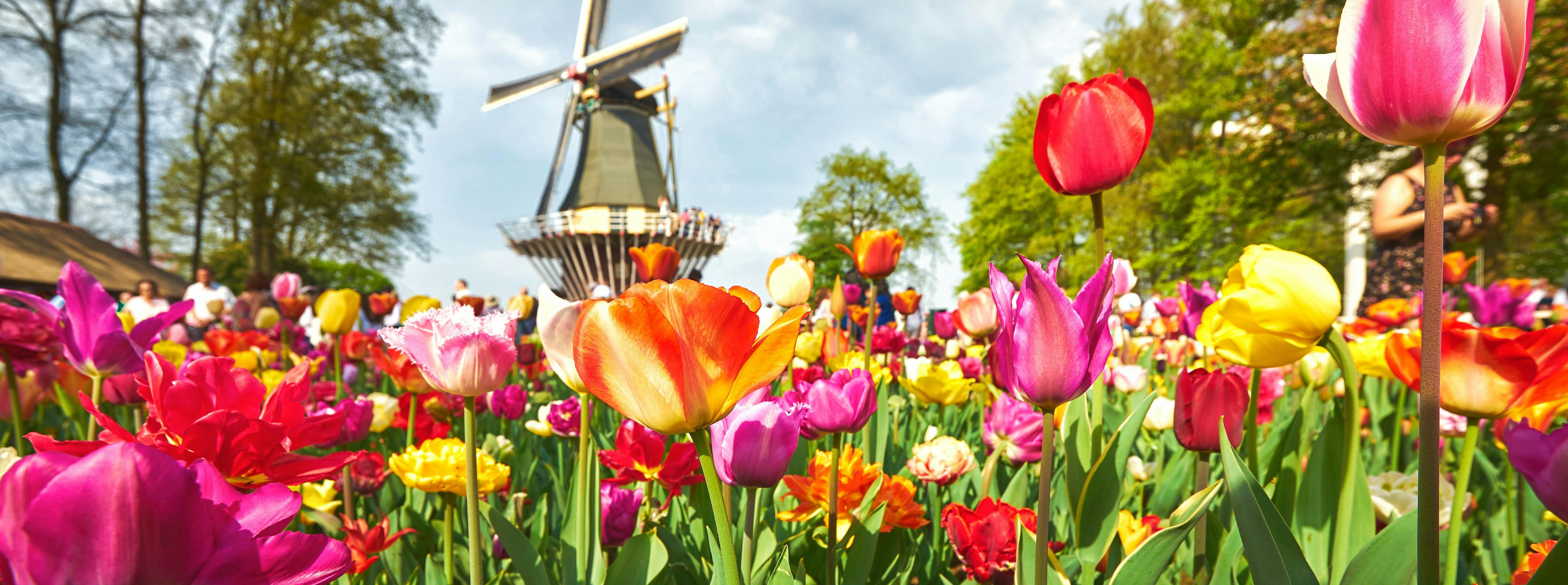 Keukenhof