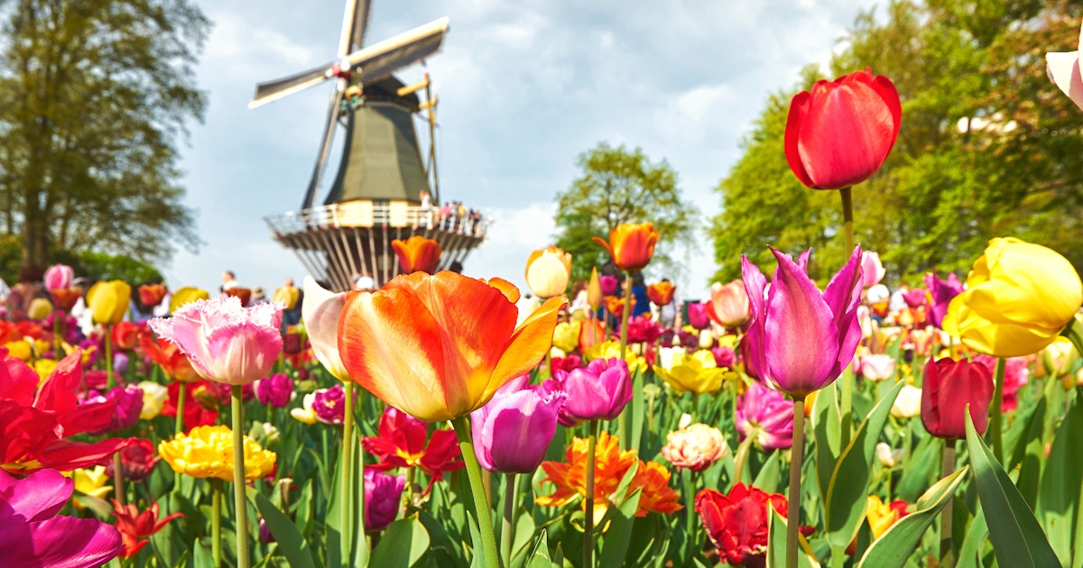 Keukenhof in Amsterdam Tickets and Tours The Netherlands Keukenhof in Amsterdam Tickets and Tours The Netherlands