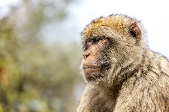Barcelona Zoo visit and free time