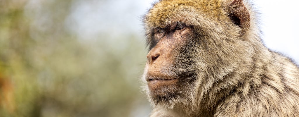 Barcelona Zoo Visit and Free Time