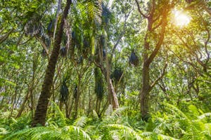 Passeios de um dia e excursões