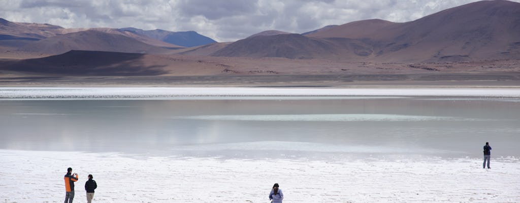 Tour de un día al salar de Atacama, lagunas altiplánicas y rocas rojas