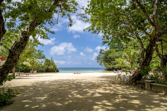 Port Antonio and Blue Lagoon Tour