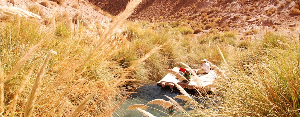 Puritama-warmwaterbronnen van San Pedro de Atacama