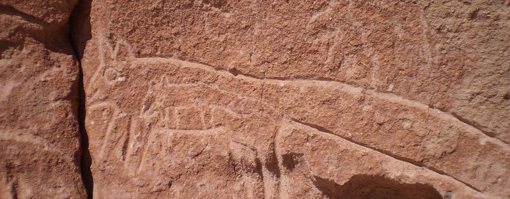 Tour dei petroglifi di Rainbow Valley e Yerbas Buenas