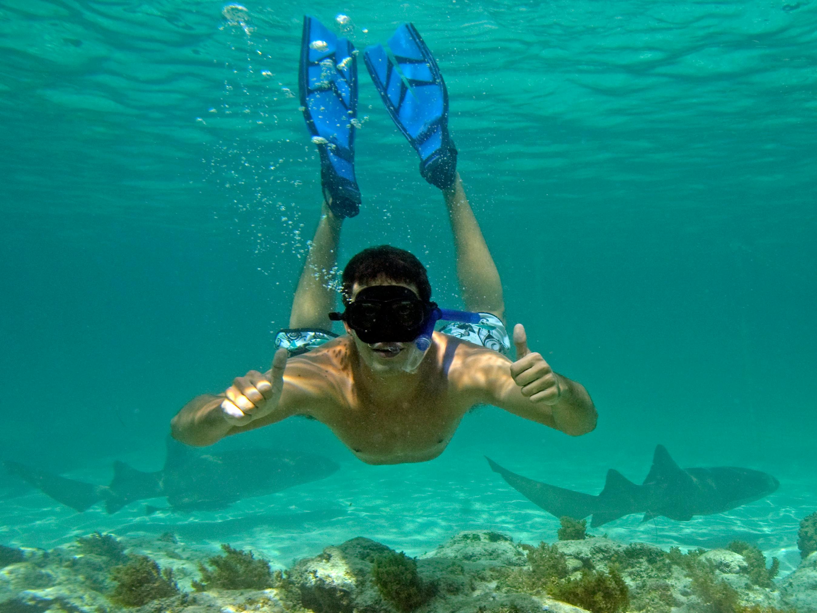 Cabeza de Toro Reserve Glass-Bottom Catamaran Cruise