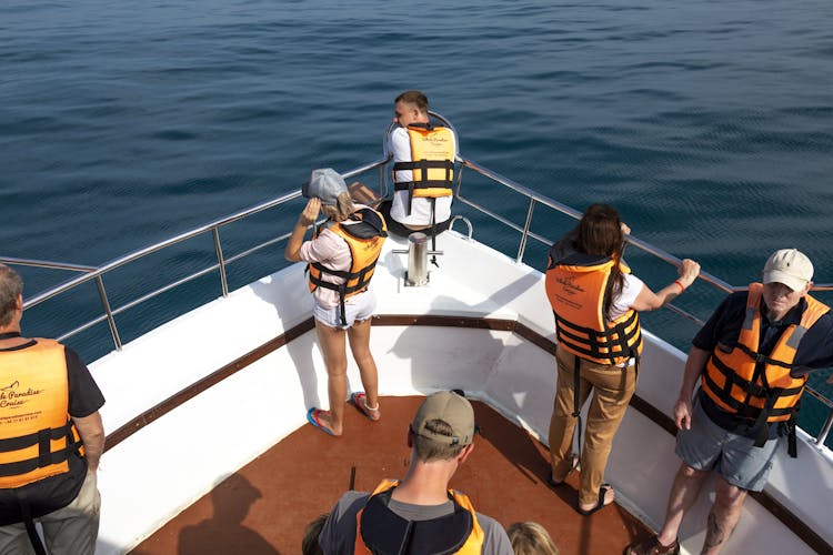 Mirissa Whale Watching Tour