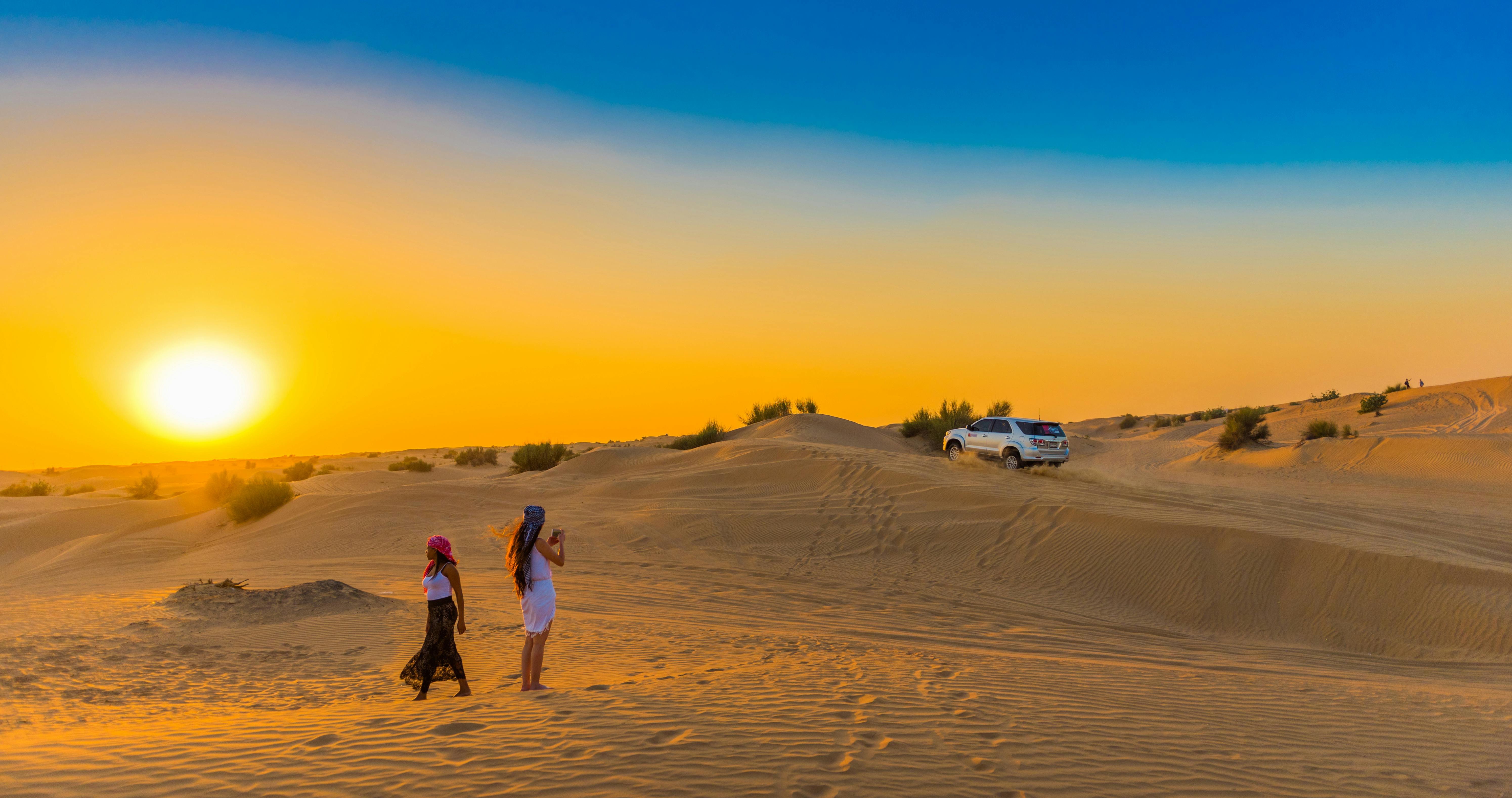 Reserva de conservación del desierto de Dubái