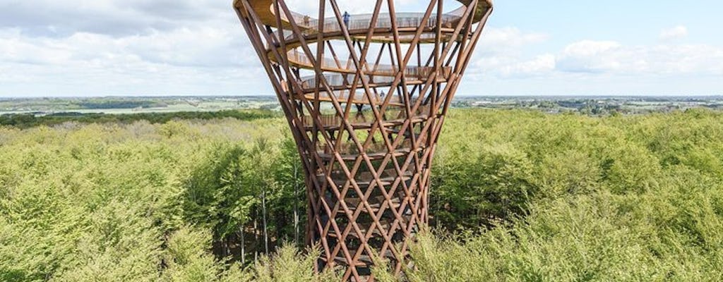 Excursão de dia inteiro à Forest Tower e Forgotten Giants saindo de Copenhague