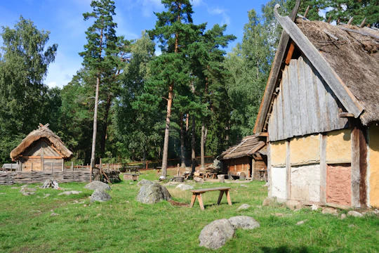 Viking era private excursion