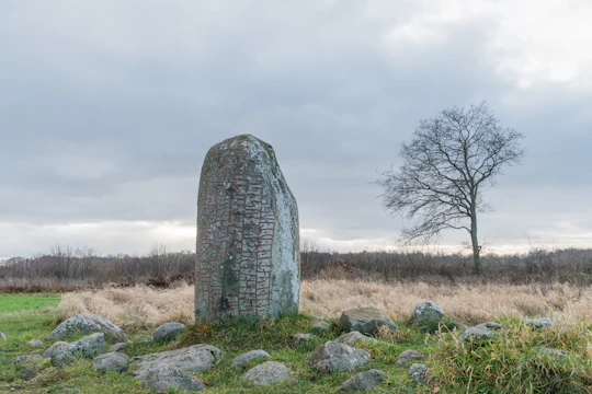 Private Iron Age history tour from Stockholm