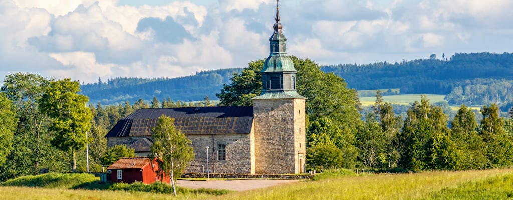 Tour privado sueco de historia y campo