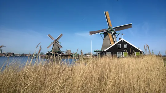 Halve dag tour op de Zaanse Schans vanuit Amsterdam