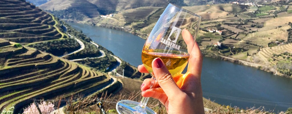 Excursão de degustação de vinhos no Vale do Douro saindo do Porto