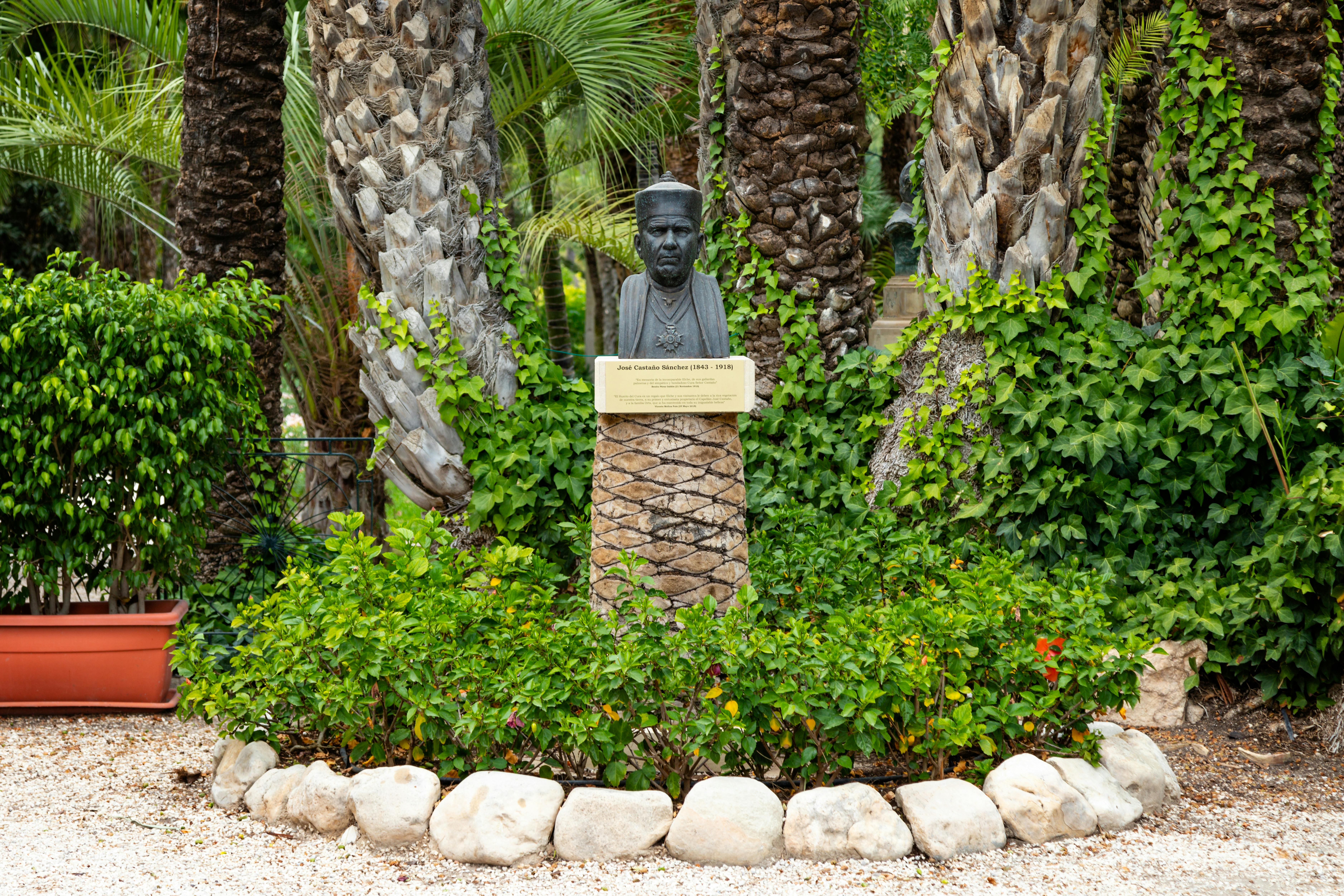 Aquarium, Elche Palms & Alicante