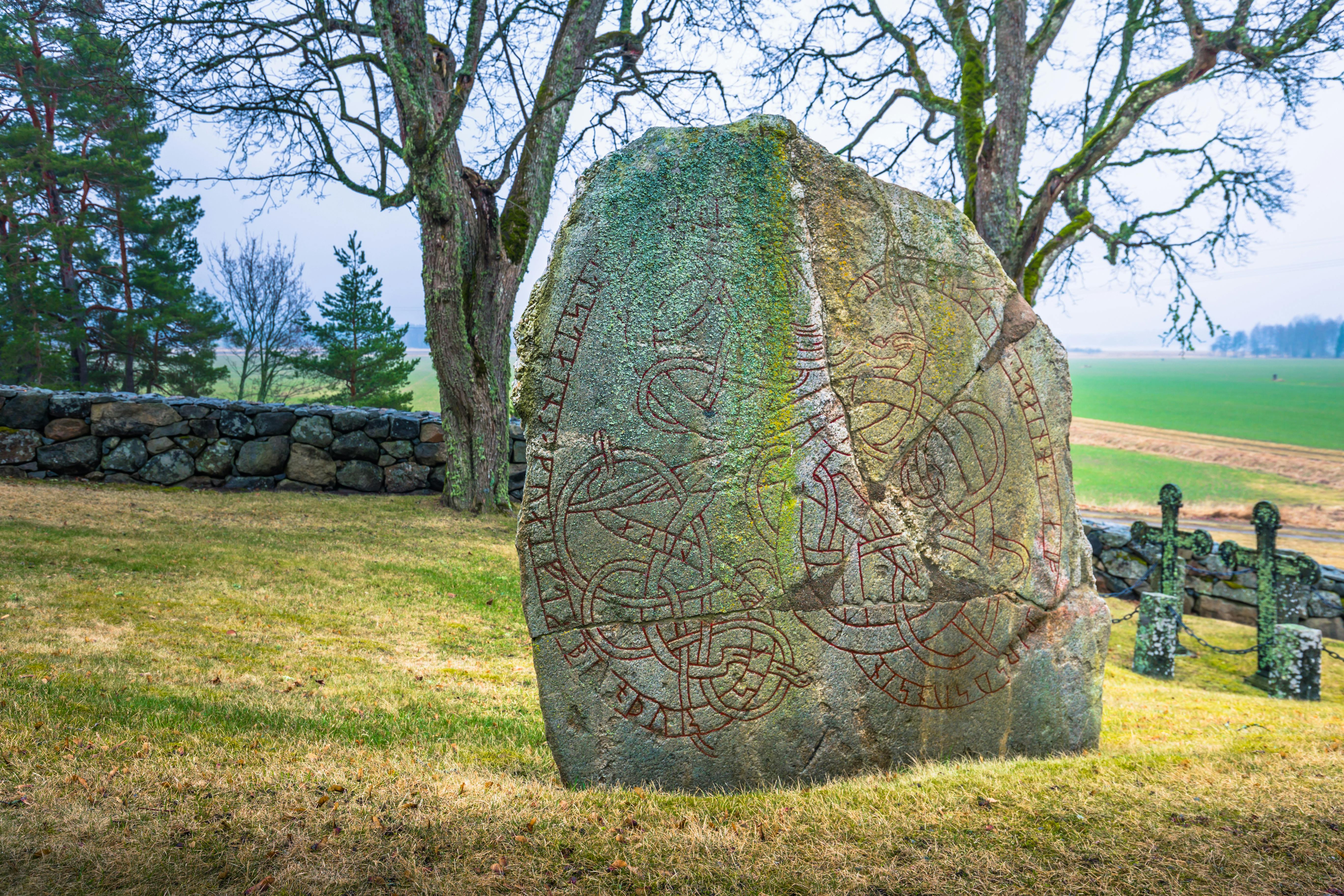 Privat individuell 3-timmars rundtur i vikingarnas historia