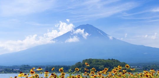 Excursion d'une journée au Mont Fuji avec le lac Kawaguchiko