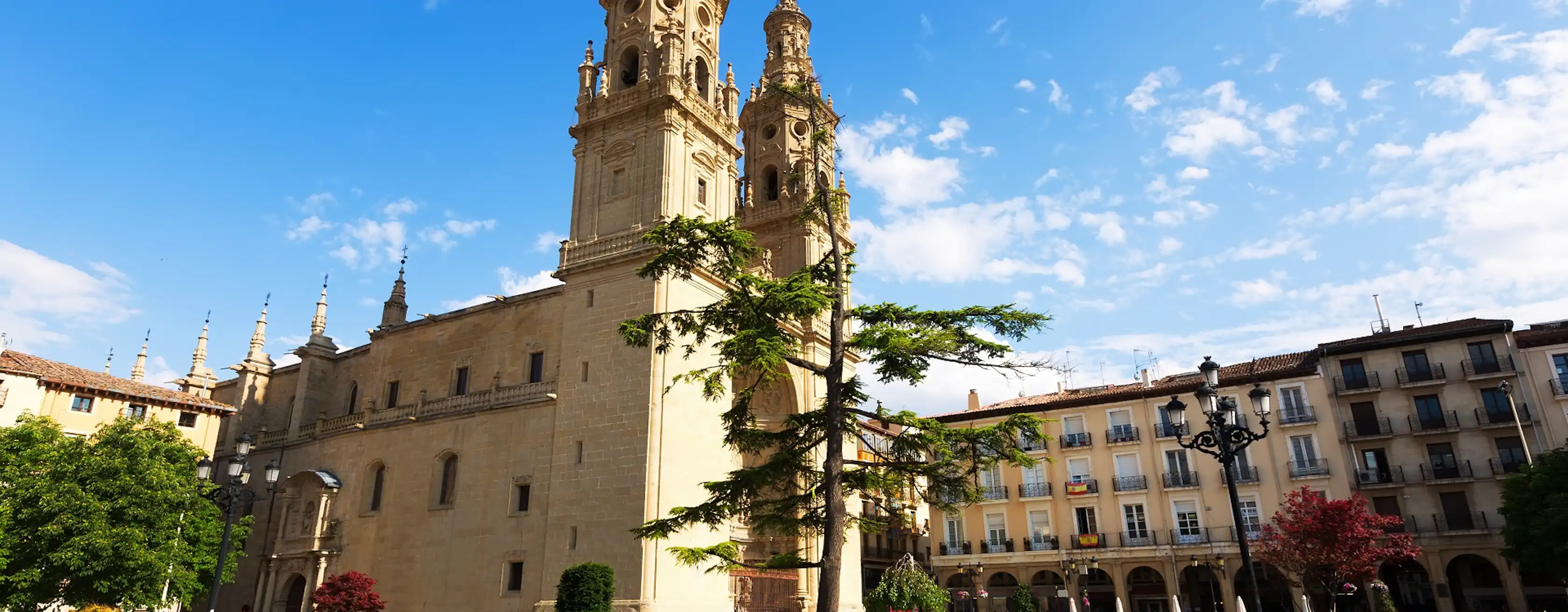 Activités à Logroño