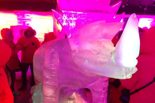 Ice Bar in Argentina with dinner and live music from Iguassu