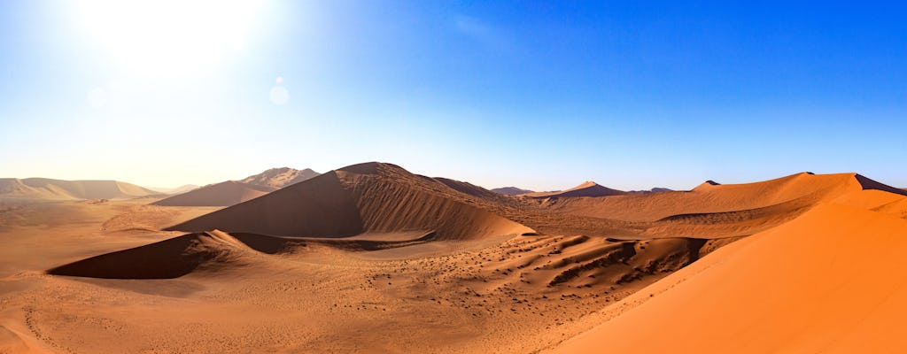 Living Desert 4x4 tour de aventura de medio día