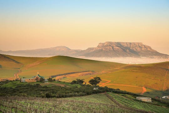 Tour di 4 giorni della Cape Town Garden Route