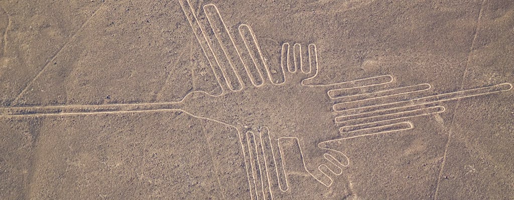 Nasca lines overflight with lunch from Lima