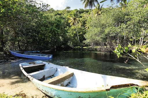 Rio San Juan Tour