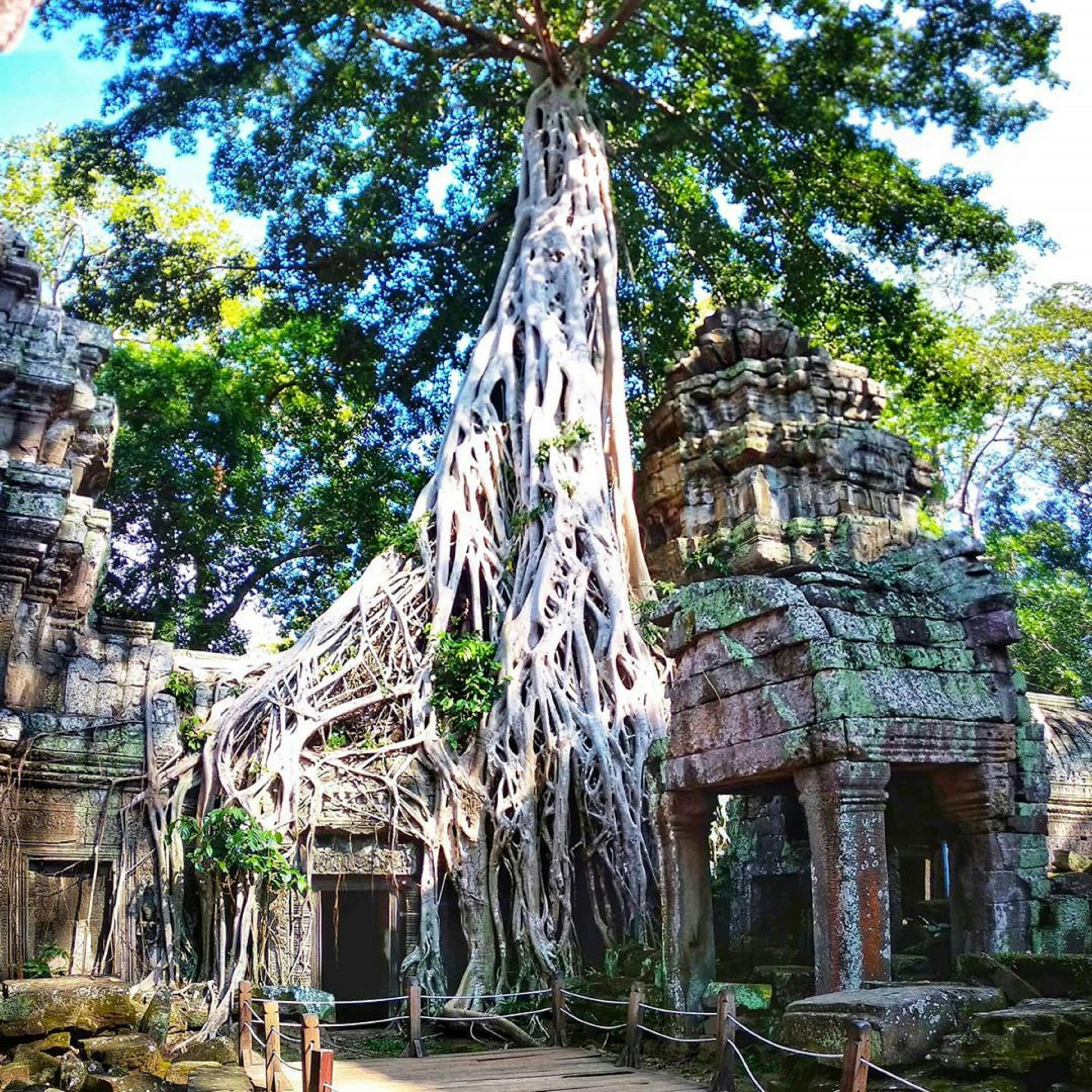 Complesso privato del tempio di Angkor di 4 giorni e tour dello stile di vita locale