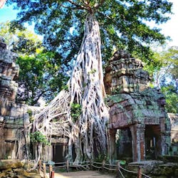 Private 4-day Angkor Temple Complex and local life style tour