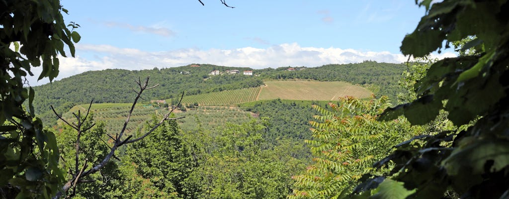 Visite de Colli Berici et dégustation dans la campagne palladienne