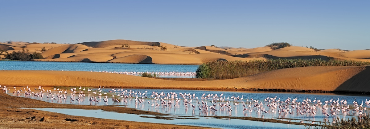 walvis bay boat tour