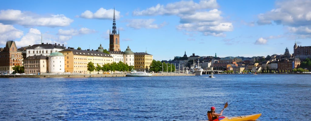 Private guided kayaking tour in Stockholm