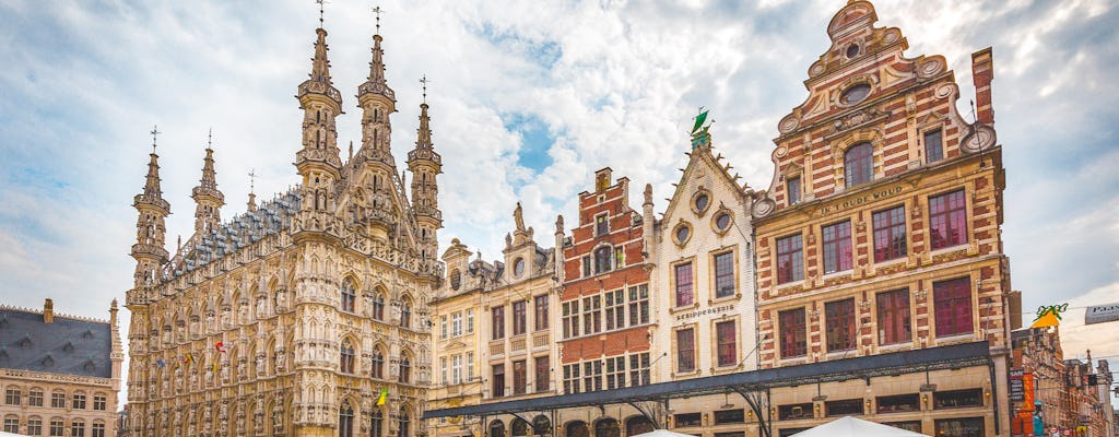 Tour privato in autobus a Lovanio da Bruxelles