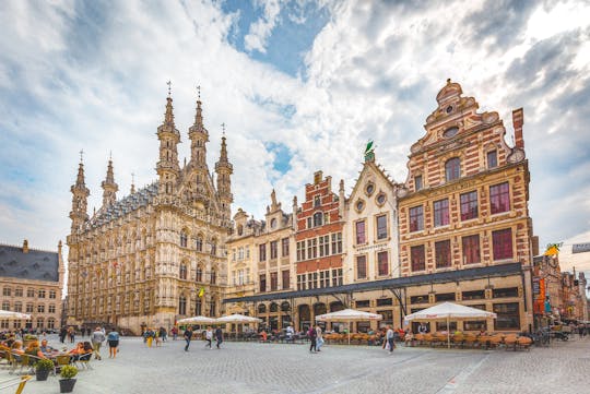Private tour by bus in Leuven from Brussels