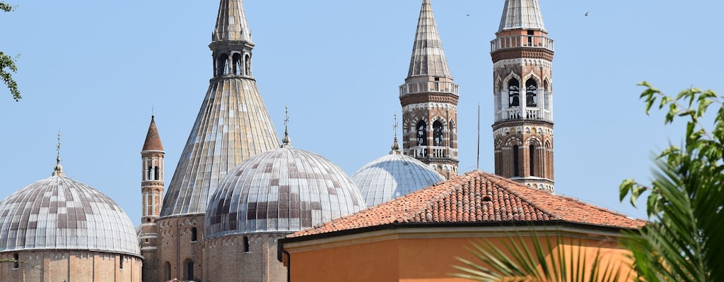 Padua, Prato della Valle y S. Anthony Basilica tour