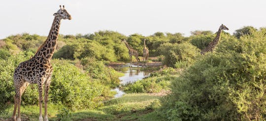 Canoeing at Lake Manyara National Park from Arusha