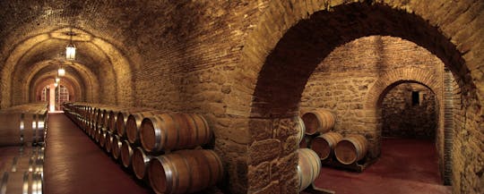 Bodegas Riojanas Feel a Winery tour con cata de vinos