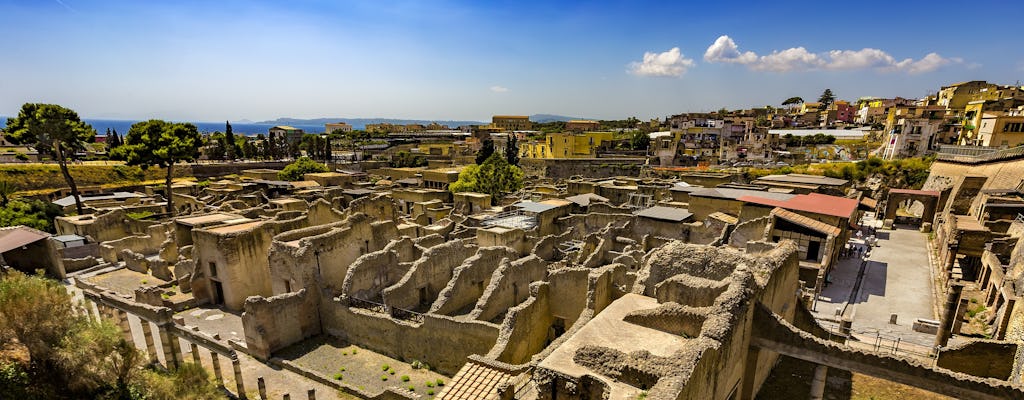 Herculaneum entrance tickets