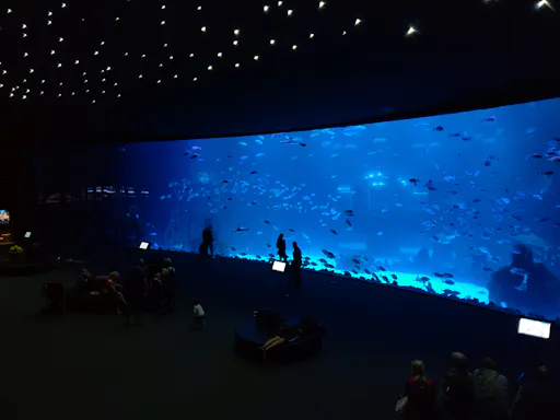 Aquarium Poema del Mar