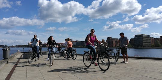 Tour in bici essenziale di Copenaghen