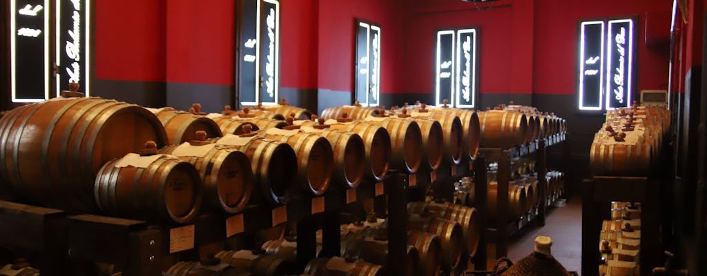 Tasting tour of balsamic vinegar of Modena at Aceto Balsamico del Duca