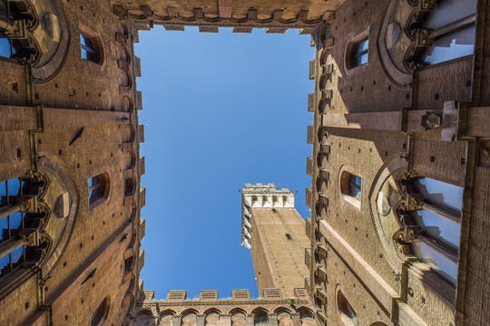 Private tour of the Civic Museum in Siena
