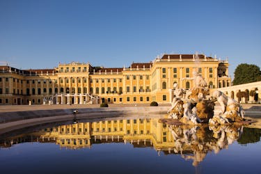 Visite de la ville d’une demi-journée avec billet coupe-file avec le château de Schönbrunn