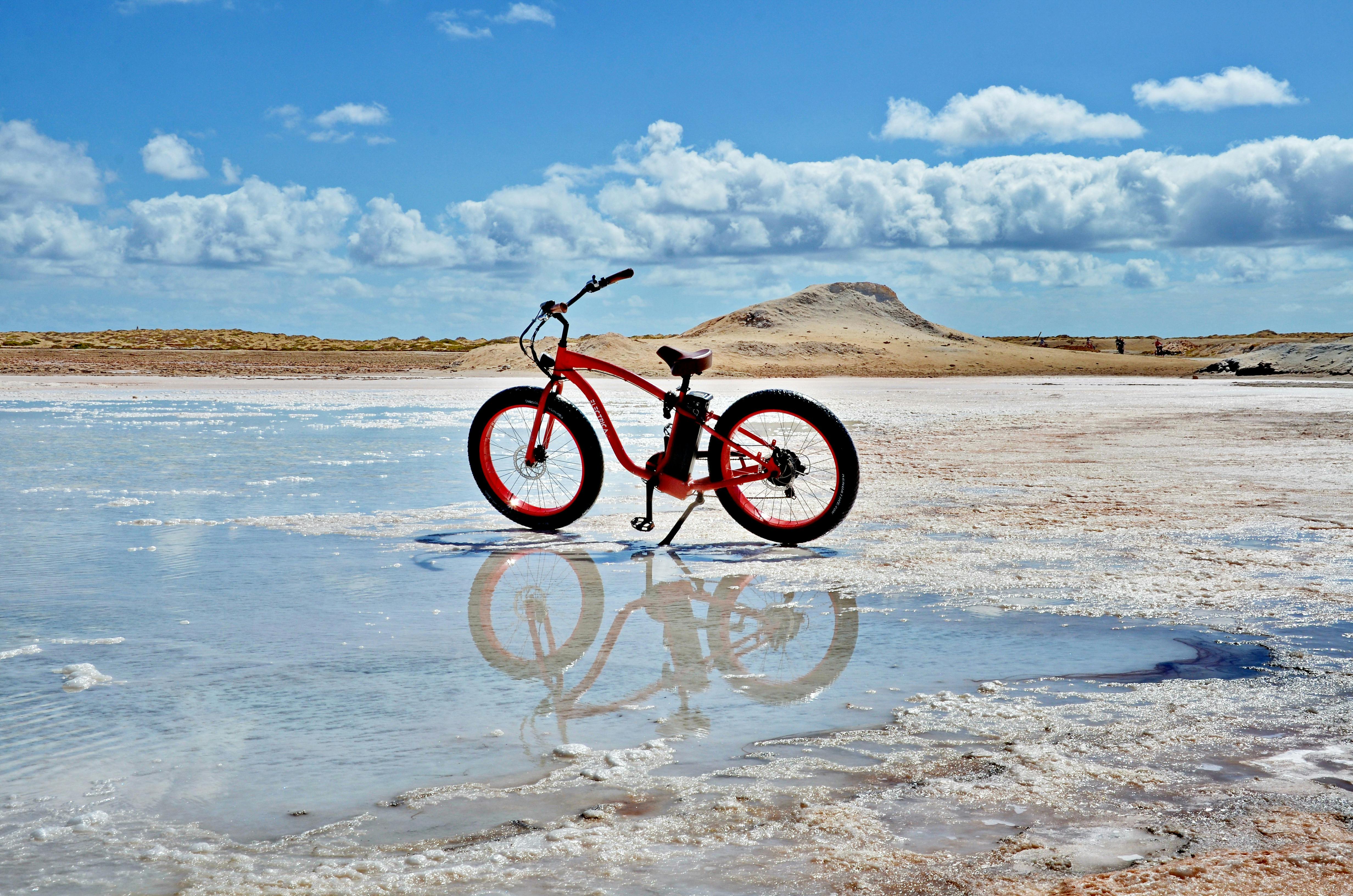 Vélos électriques