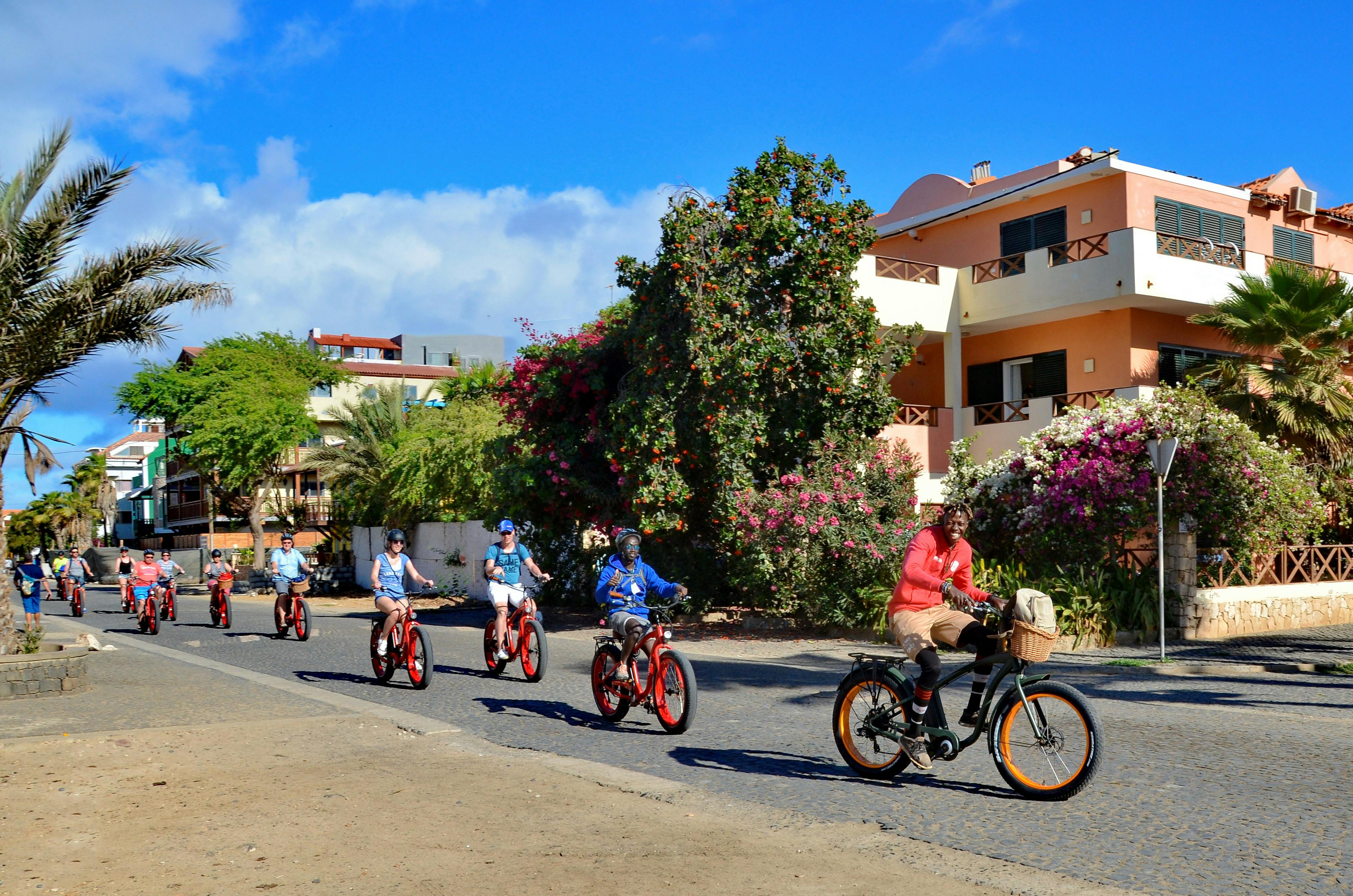 Electric Bikes