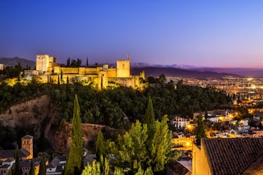 Tour notturno dei punti di vista di Granada