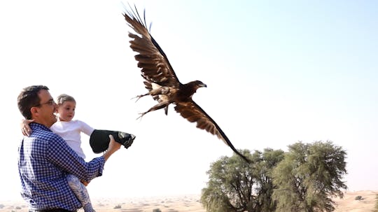 Dubai falconry safari with optional breakfast