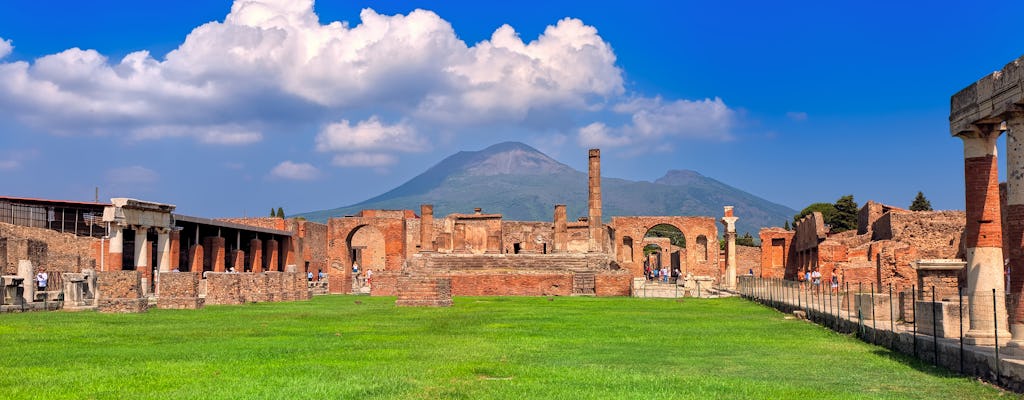 Ticket ohne Anstehen und Führung durch Pompeji