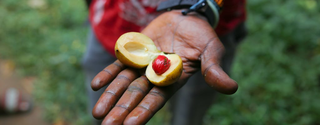 Zanzibar spice plantation, cave, and village adventure private tour