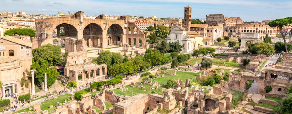 Tour guidato del Colosseo e ingresso al Foro Romano e al Palatino